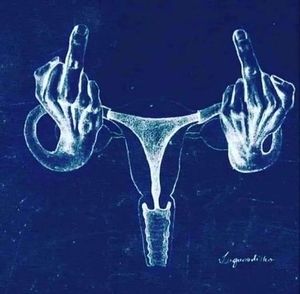 Meet your Posher, Heidi